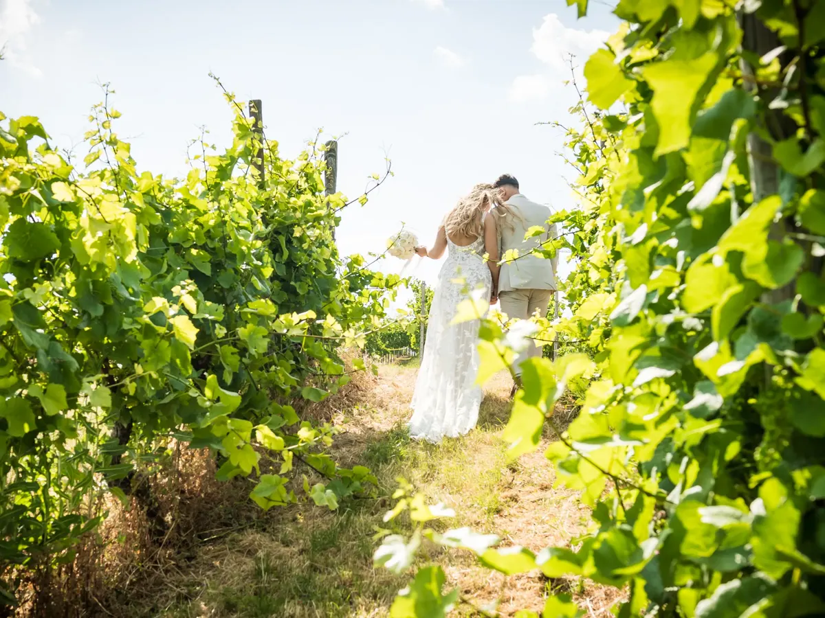 Brautpaar zwischen hohen Weinreben – Hochzeit Jana & Karim Mainz-Laubenheim