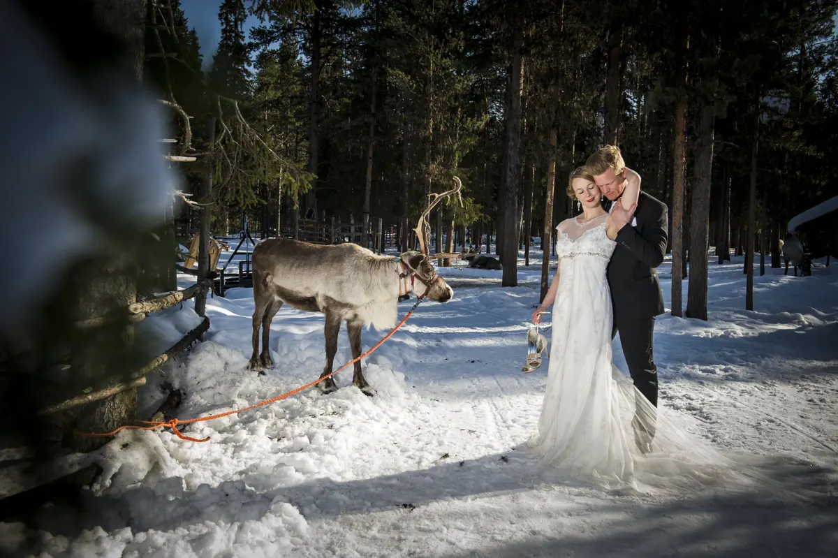 Brautpaar mit Rentier im verschneiten Wald – Hochzeit Sigrid & Chris bei der Winterhochzeit